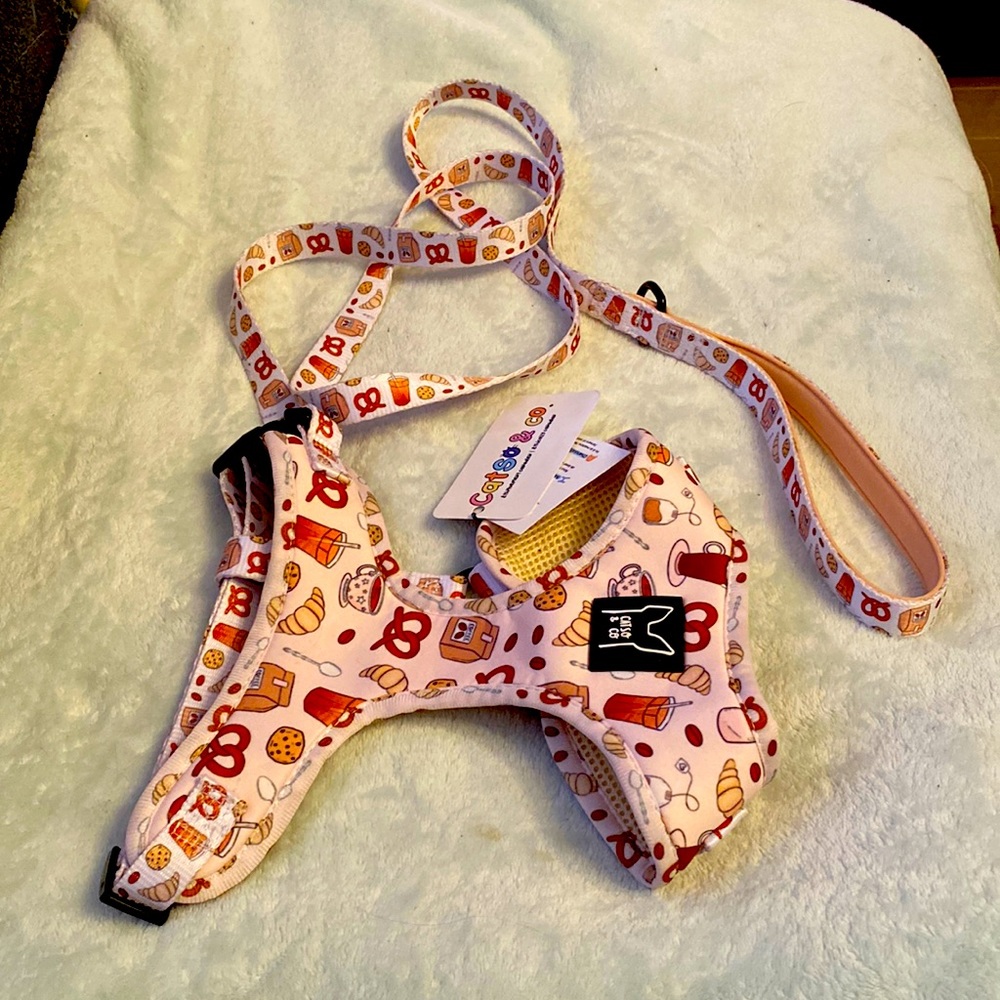 Dog harness and leash